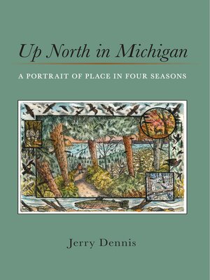 cover image of Up North in Michigan